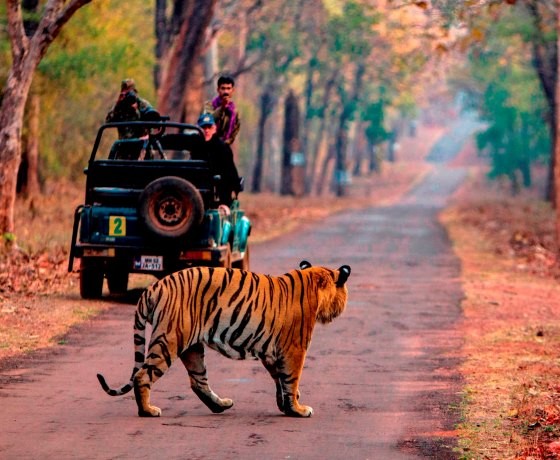 Madhya Pradesh